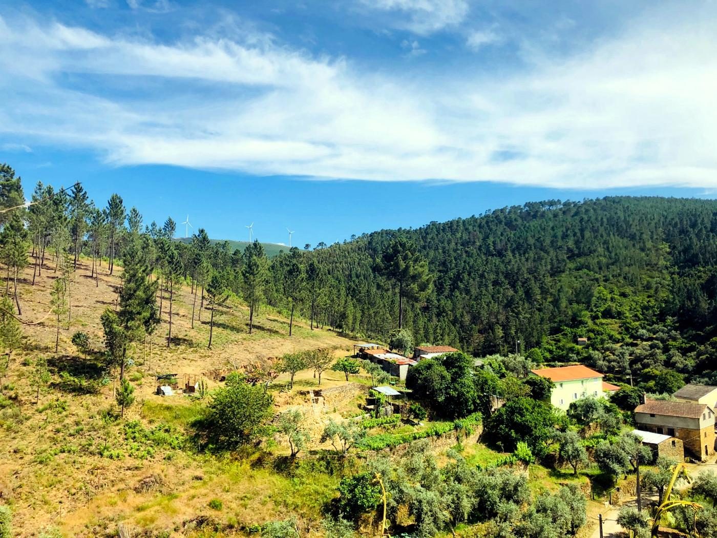 Olivais, hortas e pinhal à volta da aldeia